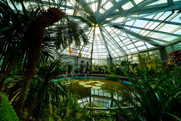 Alexandru Borza Botanical Garden