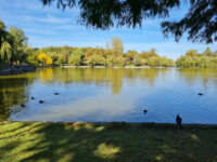 Alexandru Ioan Cuza Park Travel Forum Reviews