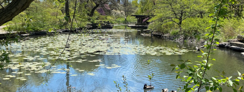 Alfred Caldwell Lily Pool Travel Forum Reviews