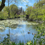 Alfred Caldwell Lily Pool