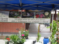 Alhambra Farmers Market Travel Forum Reviews