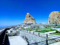 Alinja Travel Forum Reviews