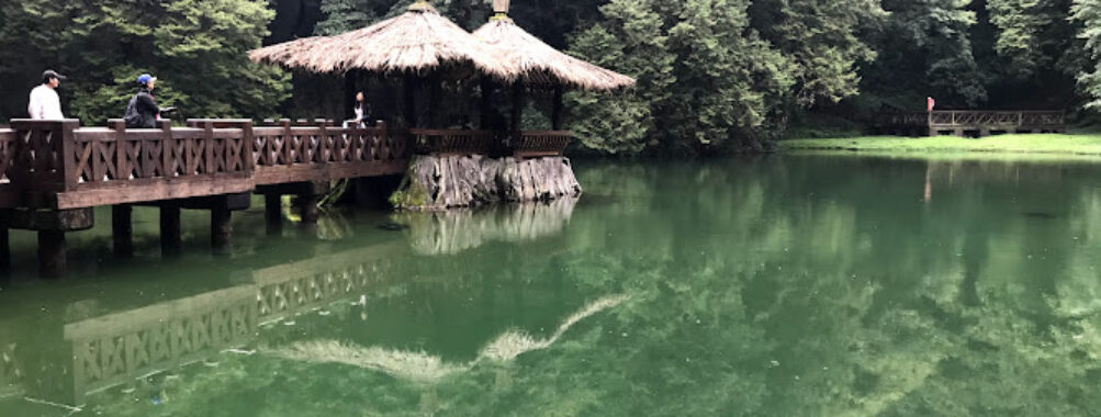 Alishan National Forest Recreation Area Travel Forum Reviews