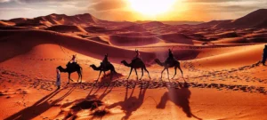 All Morocco Tours