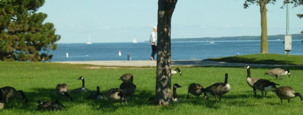 Allandale Station Park Travel Forum Reviews