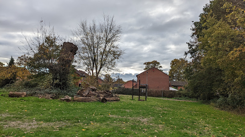 Allsmoor Field