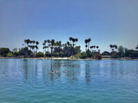 Alondra Park Travel Forum Reviews