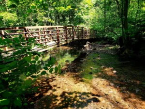 Alonzo F Bonsal Wildlife Preserve