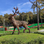 Alsóerdei Sport- és Élménypark