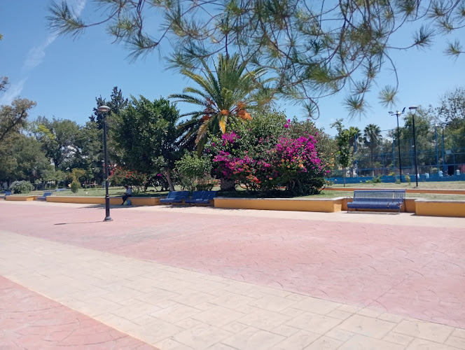 Álvaro Obregón – “PAO” Park