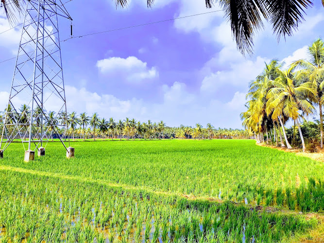 Amalapuram Rural