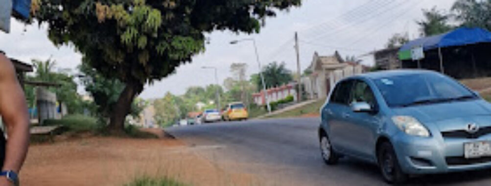 Amangoase - Ahensan Estate Travel Forum Reviews
