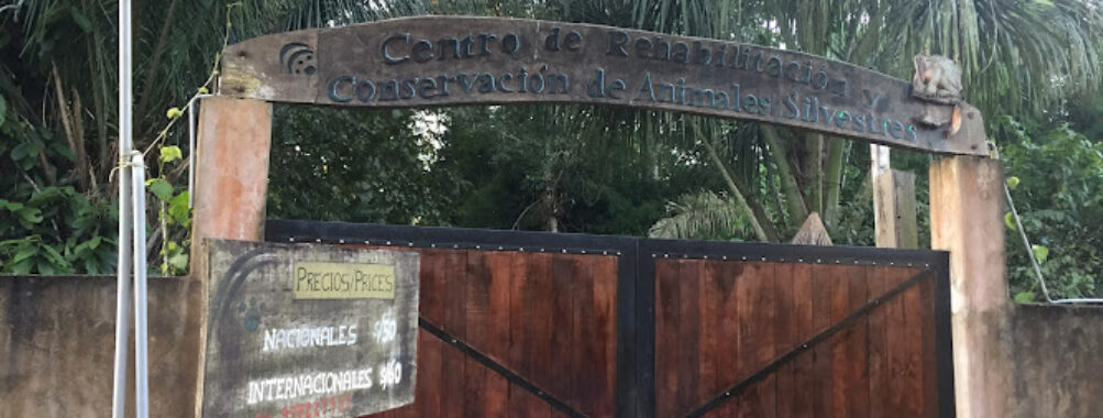 Amazon Shelter Travel Forum Reviews