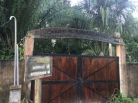 Amazon Shelter Travel Forum Reviews