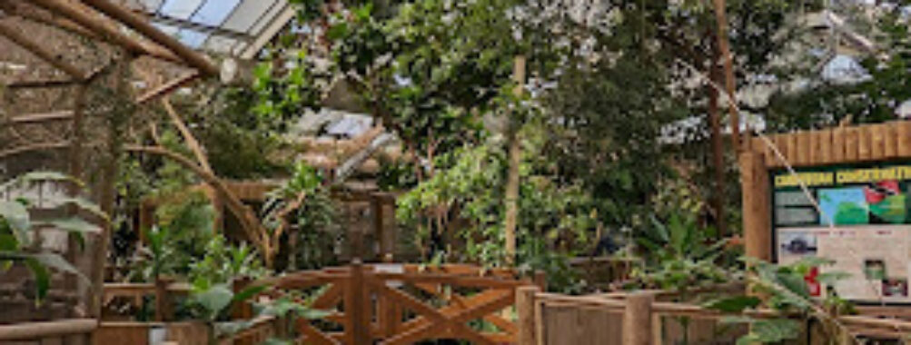 Amazonia Travel Forum Reviews