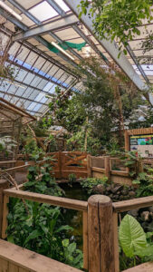 Amazonia