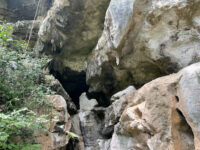 Amboni Caves Travel Forum Reviews