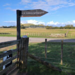 Ambury Farm