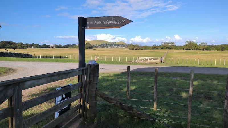 Ambury Farm