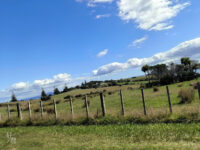 Ambury Regional Park Travel Forum Reviews