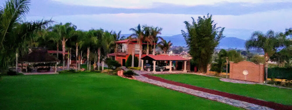 Ameca Travel Forum Reviews