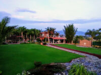 Ameca Travel Forum Reviews