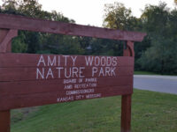 Amity Woods Nature Park Travel Forum Reviews