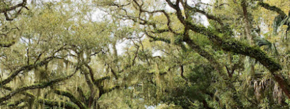 Anastasia State Park Travel Forum Reviews