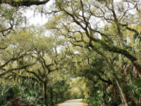 Anastasia State Park Travel Forum Reviews