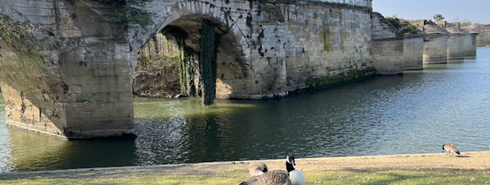 Ancien pont de Poissy Travel Forum Reviews