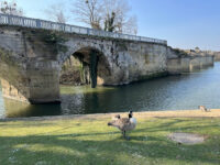 Ancien pont de Poissy Travel Forum Reviews