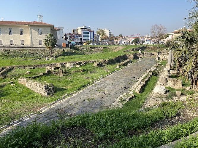 Ancient Road