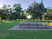 Ancil Hoffman Park Travel Forum Reviews