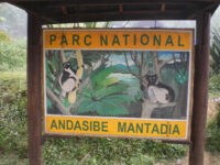 Andasibe-Mantadia National Park Travel Forum Reviews