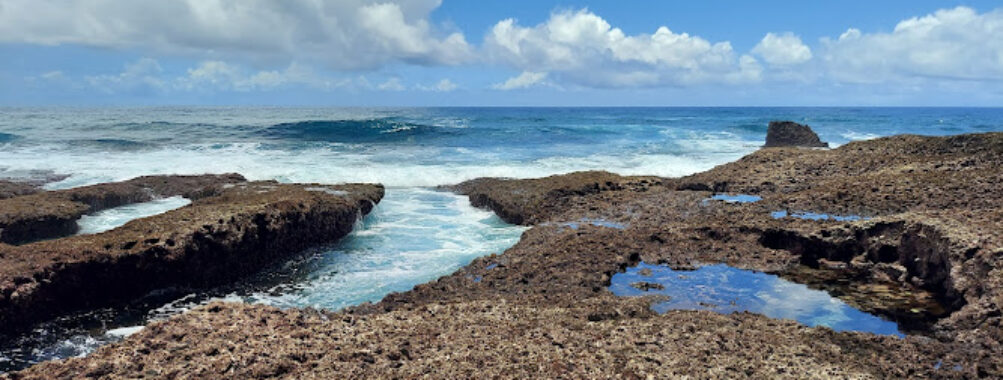 Ando North Shore Travel Forum Reviews