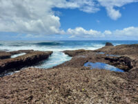 Ando North Shore Travel Forum Reviews