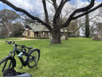 Andrew Buller Wines Travel Forum Reviews