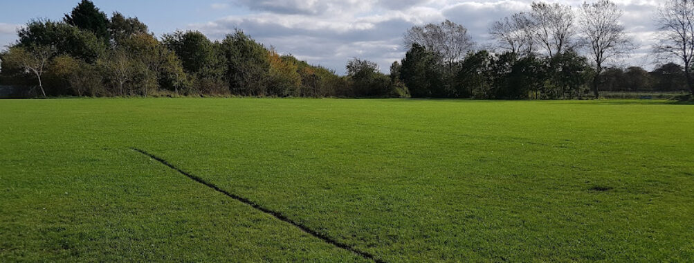 Anglesey Park Travel Forum Reviews