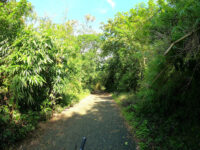 Angono Forest Park Travel Forum Reviews
