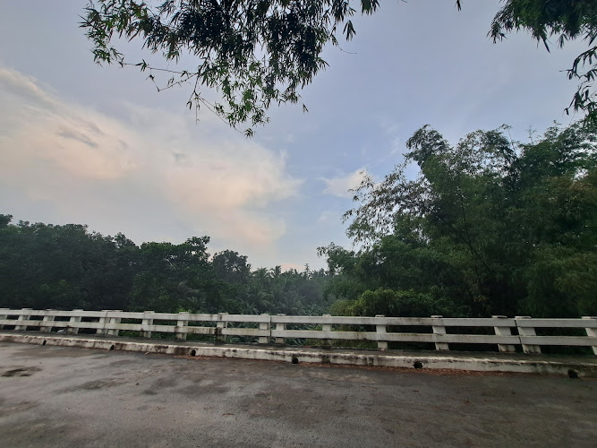 Anilao-Kayumanggi Brige