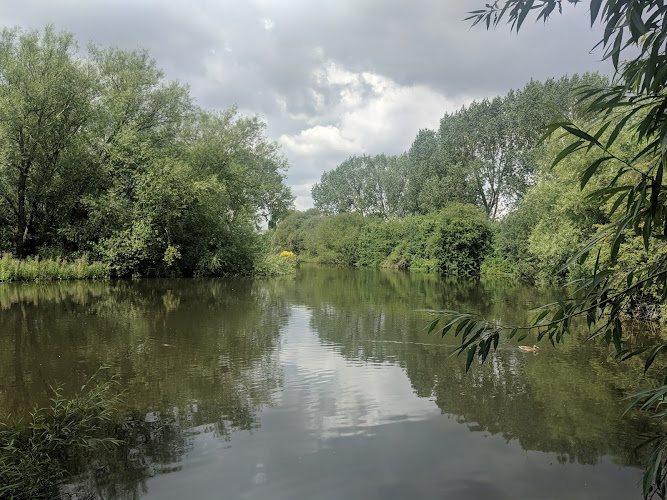 Anker Wood