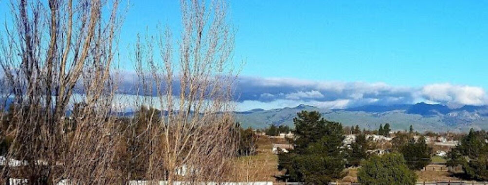 AnnEugene Wines Travel Forum Reviews
