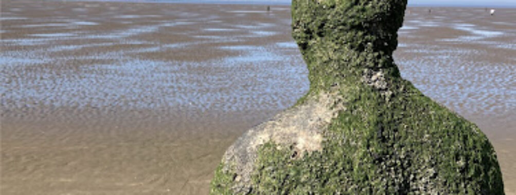 Another Place by Antony Gormley Travel Forum Reviews
