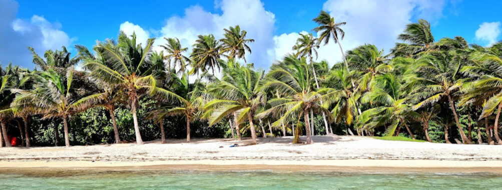 Anse Michel Travel Forum Reviews