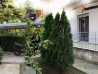 Antelope Travel Agency Travel Forum Reviews
