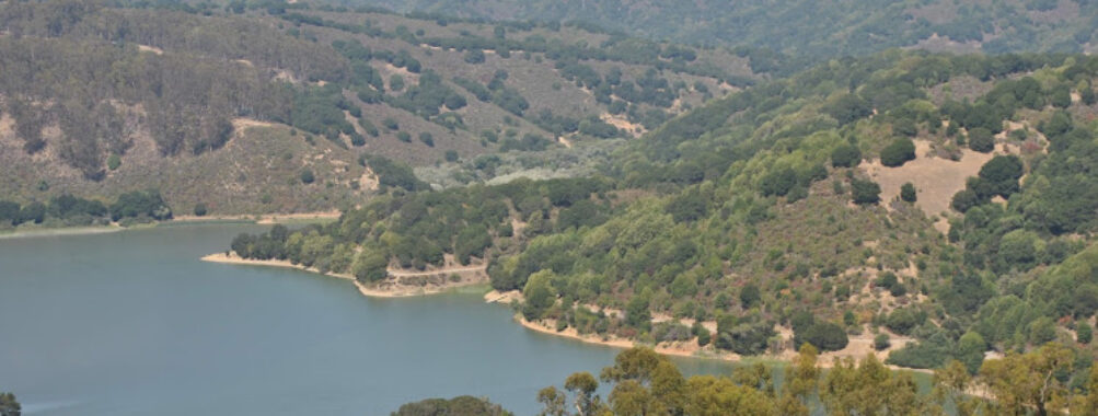 Anthony Chabot Regional Park Travel Forum Reviews