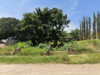 Antiguo Acueducto Zapotiltic Travel Forum Reviews