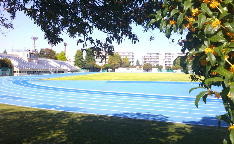 Aoki-cho park comprehensive playground
