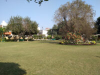 Apana Park Travel Forum Reviews