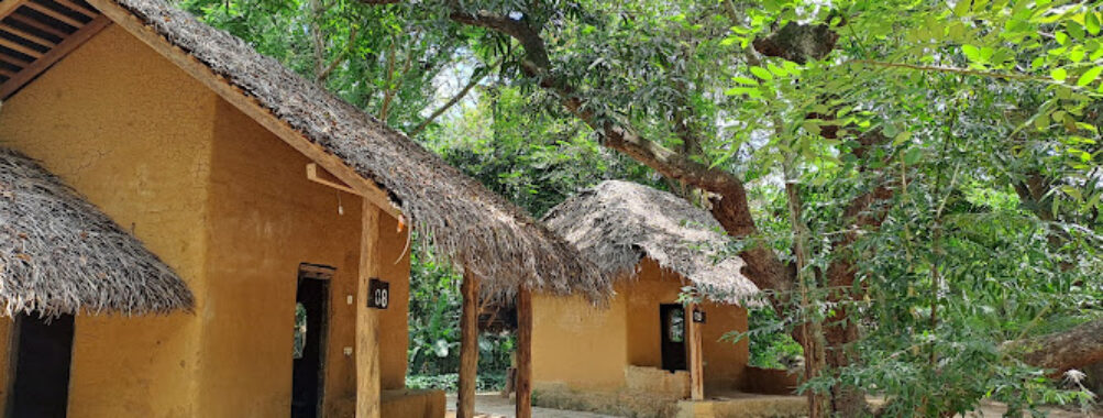 Apē Gama - Jana Kala Kendraya Travel Forum Reviews